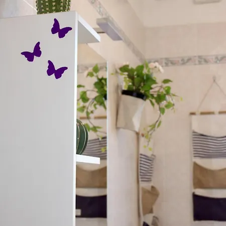 Viavai 피오베디사코